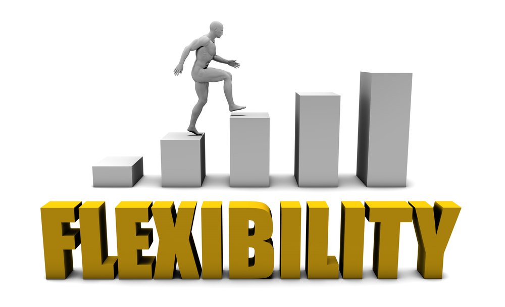 Image result for flexibility